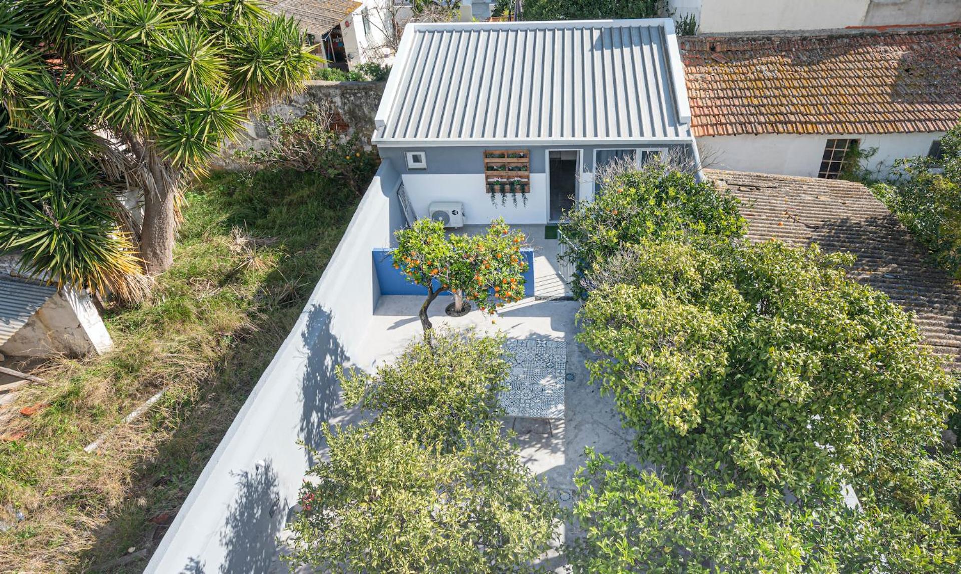 מונטיז'ו Orangetreehouses מראה חיצוני תמונה